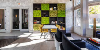 Fairchase Gallery 36