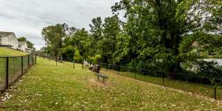 Riverwalk Gallery 54