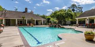 The Pines at Spring Rain Gallery 29