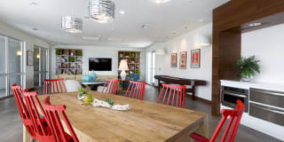 Burnet Flats Gallery 8