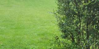 334 Fairmont Ave Gallery 1