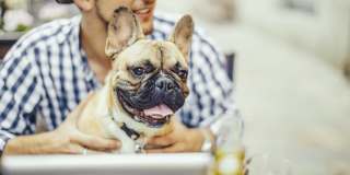 The Ashley Gallery 44