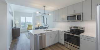 The Carson Gallery 9