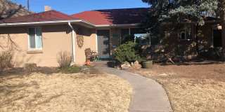 Denver Three Bedroom House Two Blocks From City Park Gallery 19