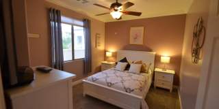 28207 N 123RD Lane Gallery 19