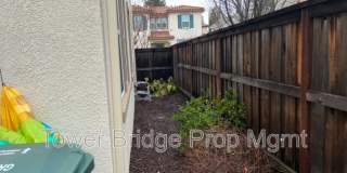 6436 Brando Loop Gallery 24
