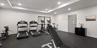 The Oliveen Gallery 22