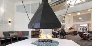 South Shore Gallery 12