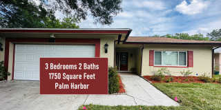 Spacious 3BR Palm Harbor Home with Fenced Yard & 2-Car Garage Spacious 3BR Palm Harbor Home with Fenced Yard & 2-Car Garage Gallery 1