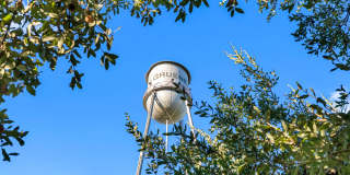 Bainbridge Creekside Gallery 24