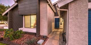 6931 Wedgewood Way Gallery 11