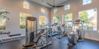 Laurel Terrace Apartment Homes Gallery 3
