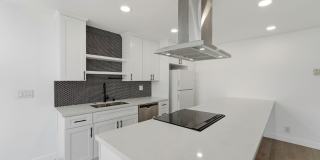 1009 N. Edinburgh Ave Gallery 11