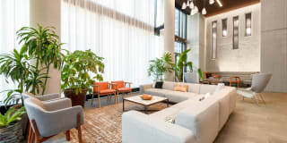 The Wren D.C. Gallery 61