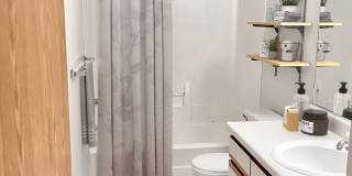 Delaware Woods Gallery 11