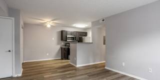 Forest View Gallery 3