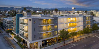 The LC Gallery 27