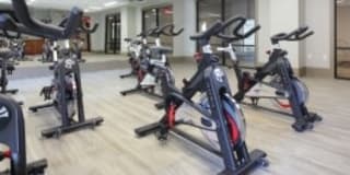 Varela Westshore Gallery 21