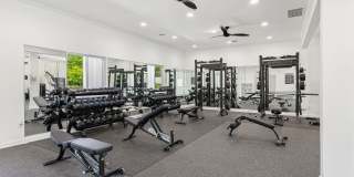 ReNew Woodland North and South Gallery 27