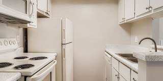 Rise on Cactus Gallery 75