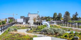 JG Whittier Gallery 36