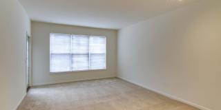 Prynne Hills Gallery 100