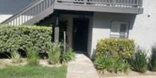 382 Orange Blossom 382 Orange Blossom Gallery 1