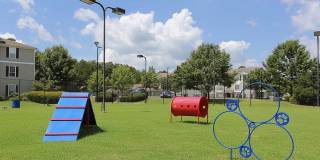 Lake St. James Gallery 5