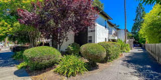 Eggleston St., 1201-1213 * Eggleston St., 1201-1213 * Gallery 1