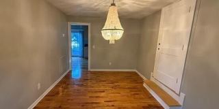 2 Tabby Lane Gallery 7