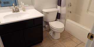 1217 Colorado Road Gallery 34