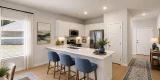102 Border Collie Drive Gallery 1