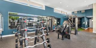 Arrive Laurie Lane Gallery 13