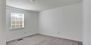 vtb0843 Gallery 11