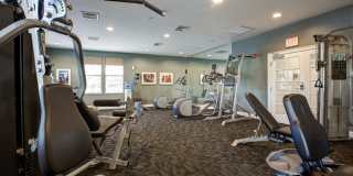 Lynnfield Commons Gallery 11