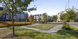 67 LINDEN Place Gallery 32