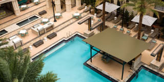 Palmetto Promenade Gallery 30