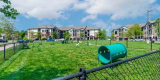 Boulders at Overland Park Gallery 29