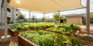 Acero at Algodon Center Gallery 30