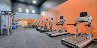 Arbor Square Gallery 10