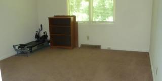 Walk to Campus! Incredible location, amazing space in this sprawling 4br home in downtown Chapel Hill Gallery 20