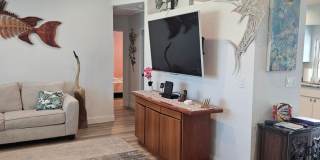 RENTED JAN, FEB, MARCH 2026 Gallery 10