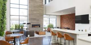 Cactus Forty-2 Gallery 1