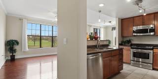 7342 Oak Manor Gallery 12