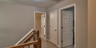 5807 IVY LEAGUE Gallery 20
