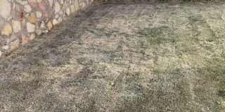 5013 Joe Castillo St Gallery 27