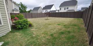 1107 Summer Meadow Drive Gallery 35