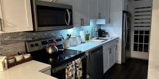 3971 Coral Springs Dr Gallery 1