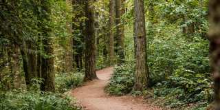 South Ridge Apartments Gallery 81