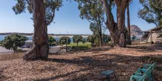 Serenity by the bay (some utilities included) Gallery 6